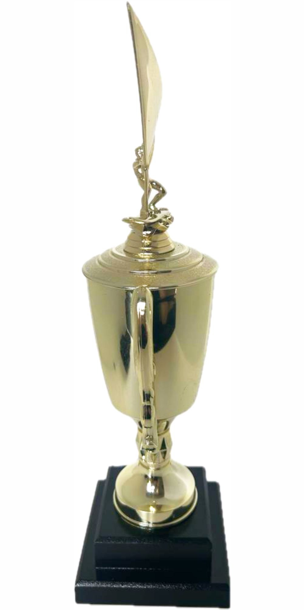 Wind Surfer Trophy 430mm