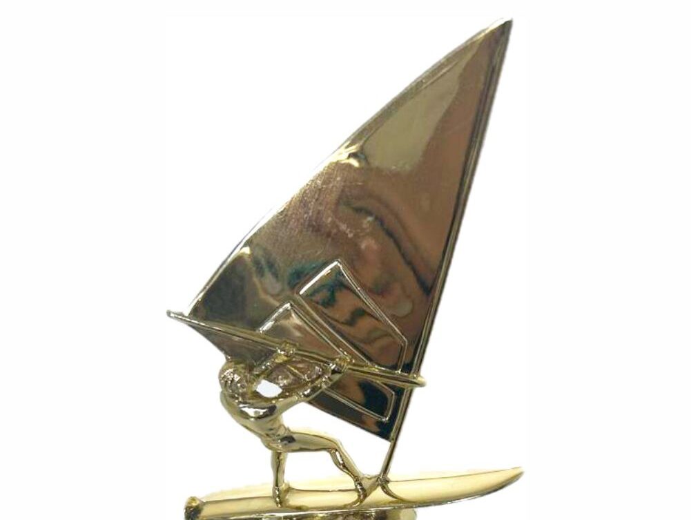 Wind Surfer Trophy 290mm