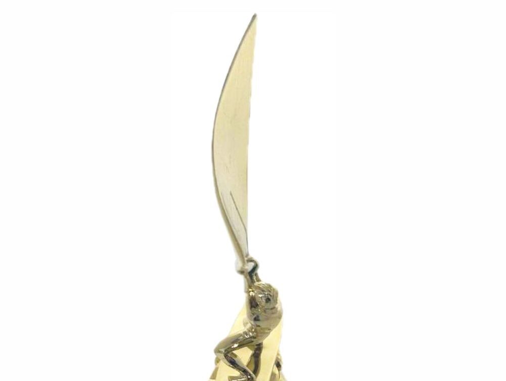 Wind Surfer Trophy 290mm
