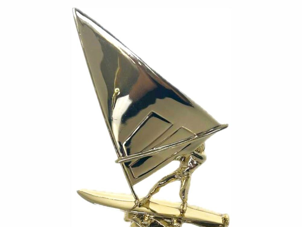 Wind Surfer Trophy 290mm