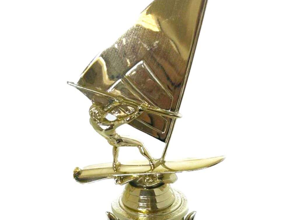 Wind Surfer Trophy 310mm