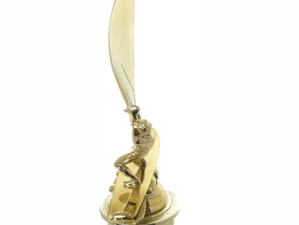Wind Surfer Trophy 310mm