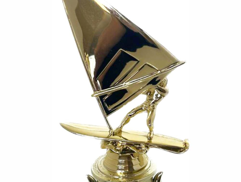 Wind Surfer Trophy 310mm