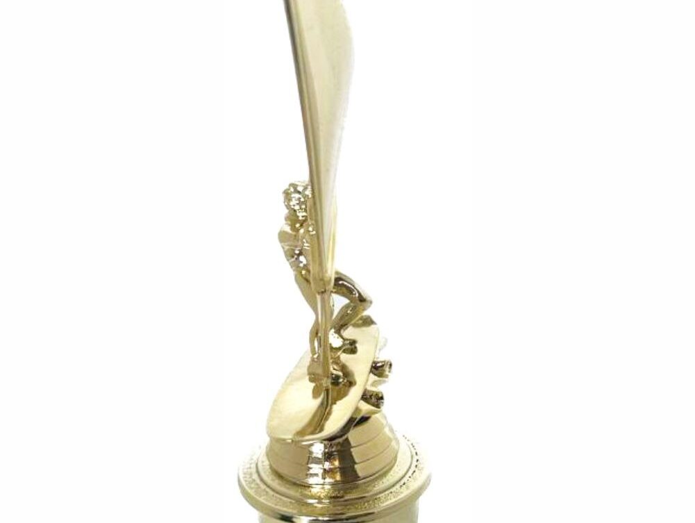 Wind Surfer Trophy 310mm