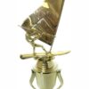 Wind Surfer Trophy 350mm