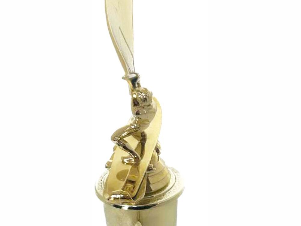 Wind Surfer Trophy 350mm