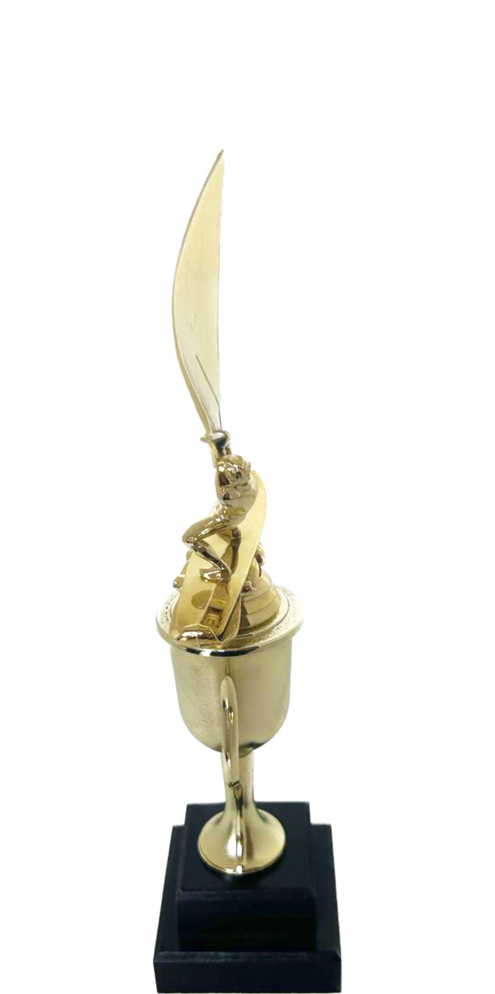 Wind Surfer Trophy 350mm