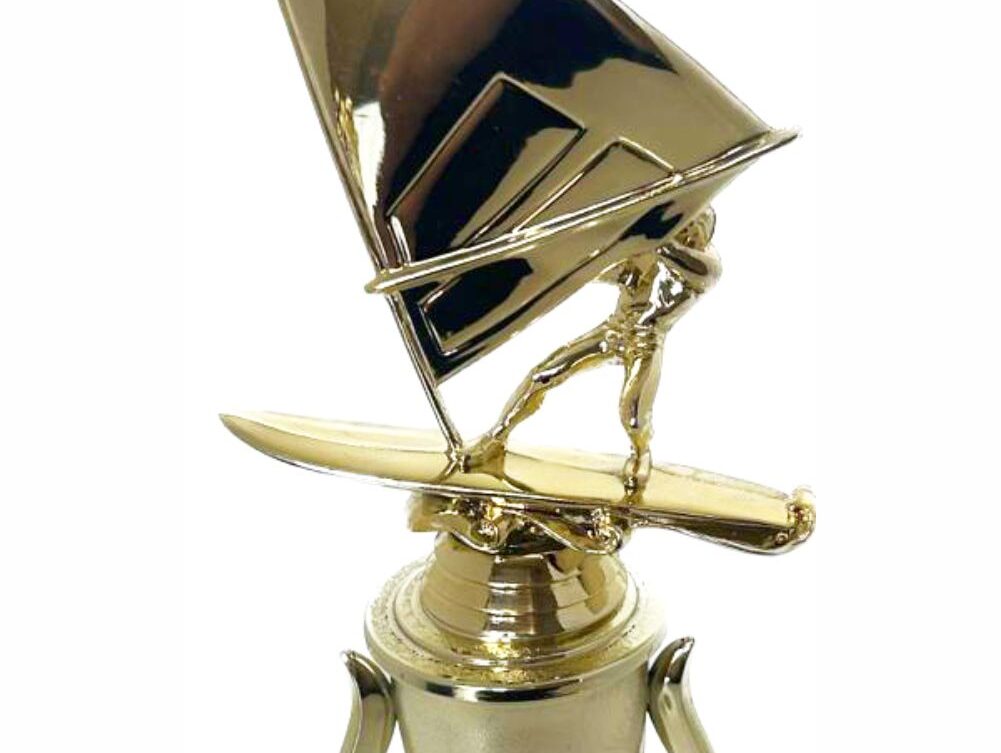 Wind Surfer Trophy 350mm