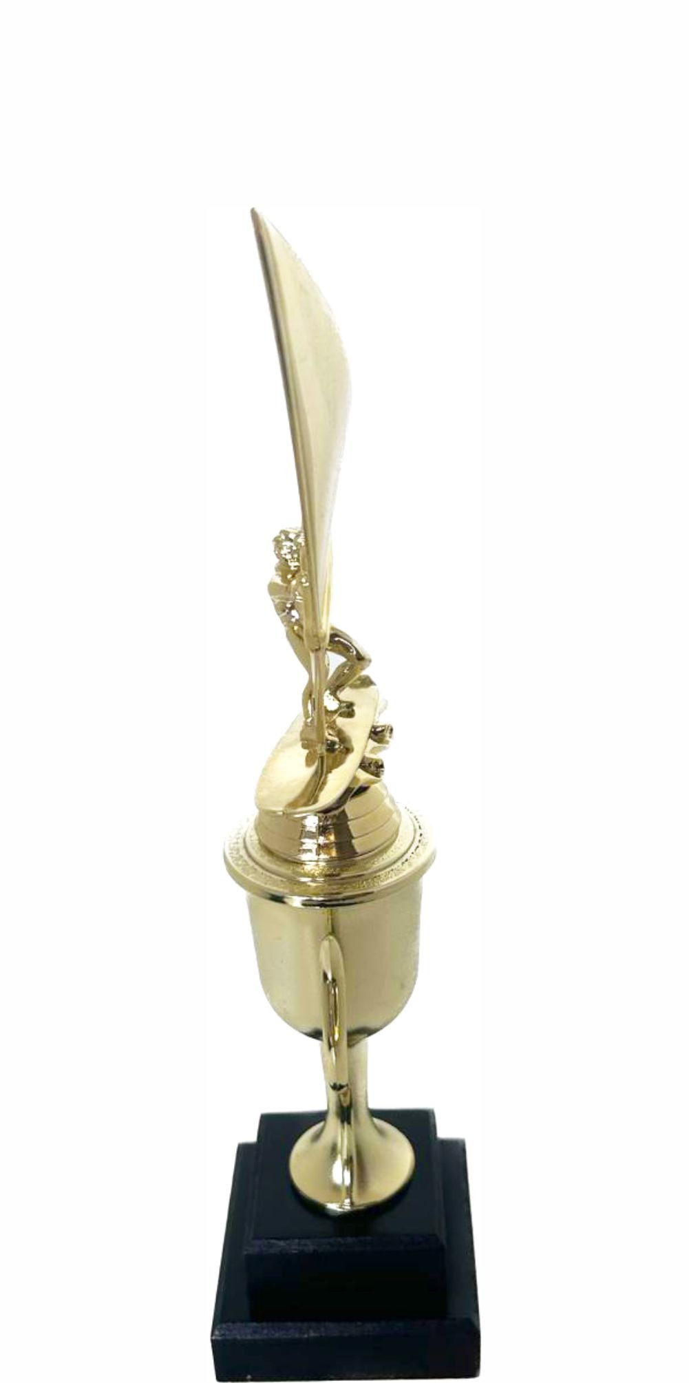 Wind Surfer Trophy 350mm