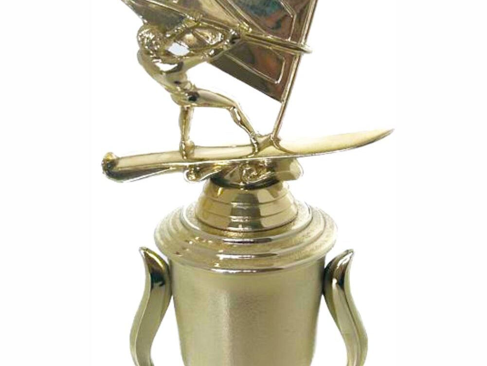 Wind Surfer Trophy 390mm