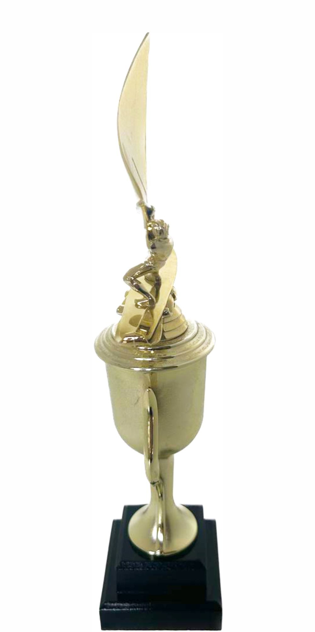 Wind Surfer Trophy 390mm
