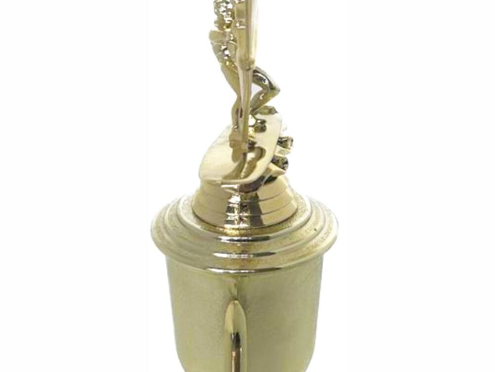Wind Surfer Trophy 390mm