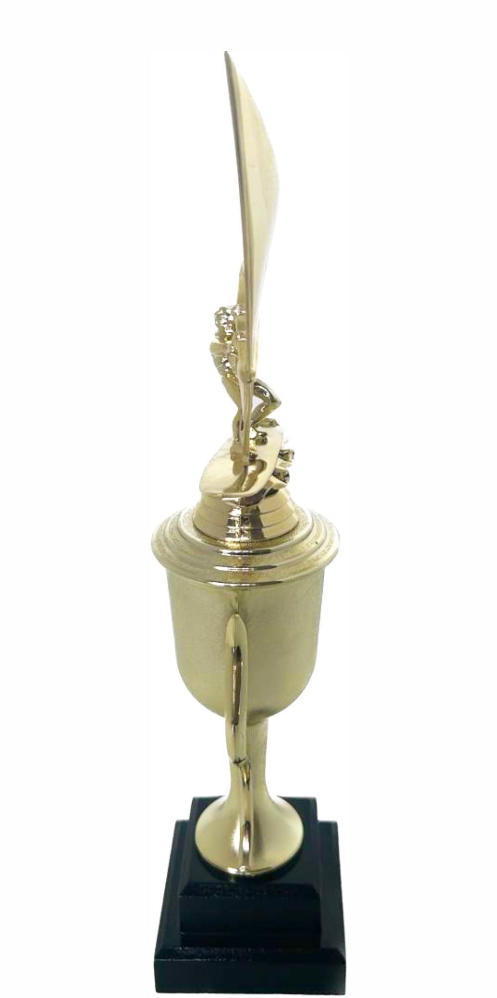 Wind Surfer Trophy 390mm