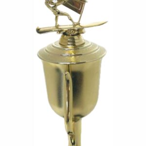 Wind Surfer Trophy 430mm