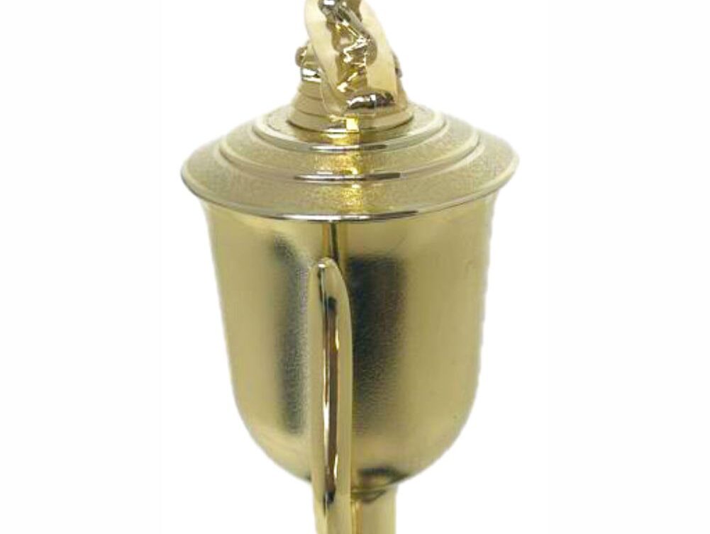 Wind Surfer Trophy 430mm