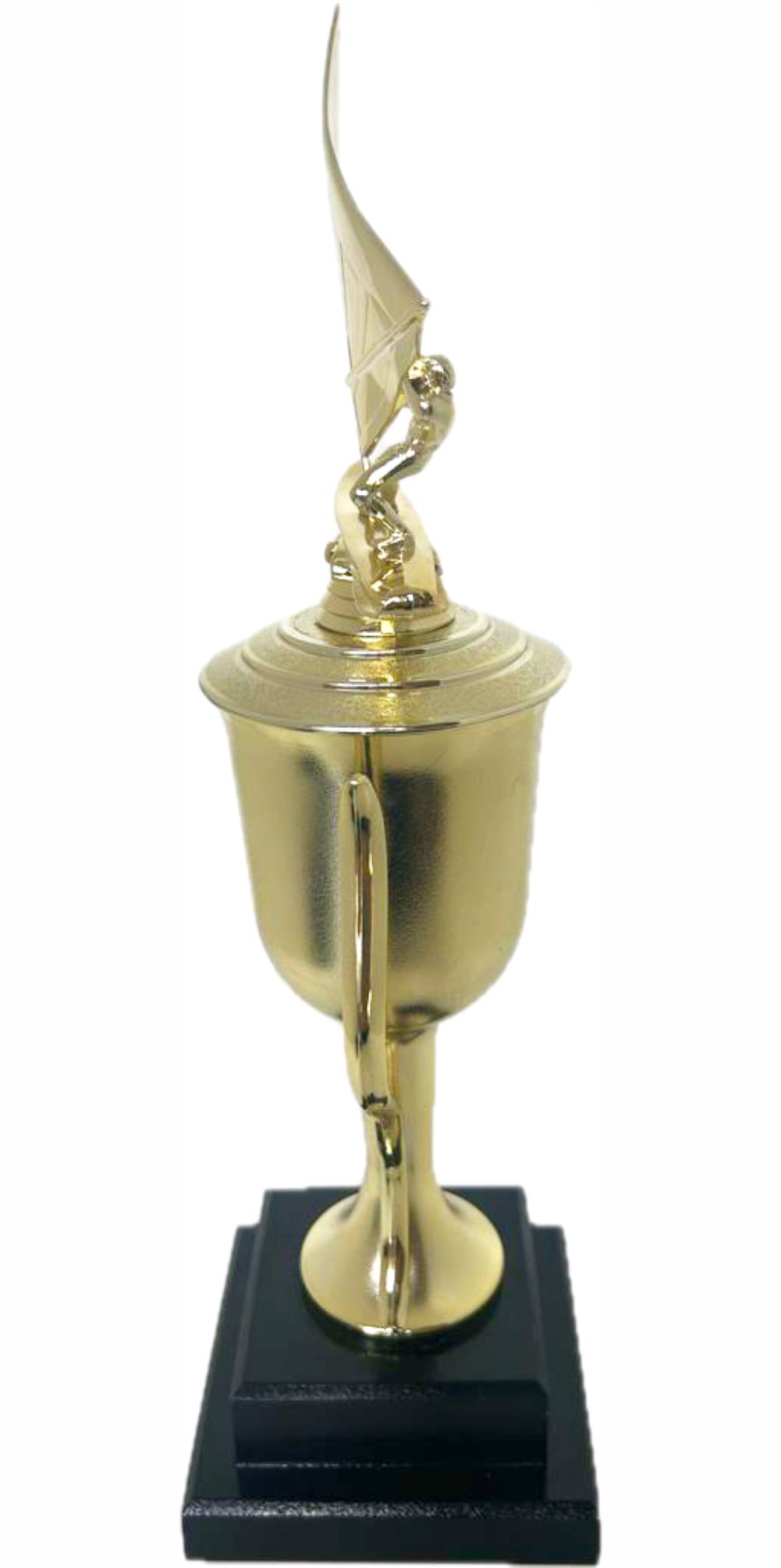 Wind Surfer Trophy 430mm