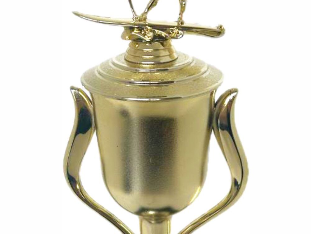 Wind Surfer Trophy 430mm