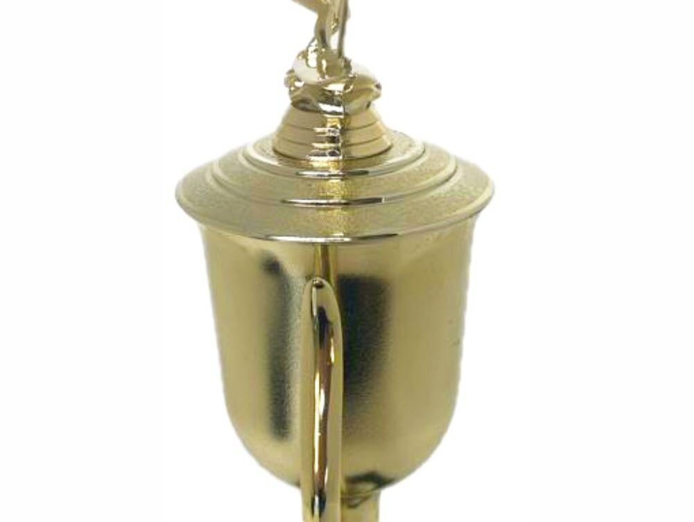 Wind Surfer Trophy 430mm