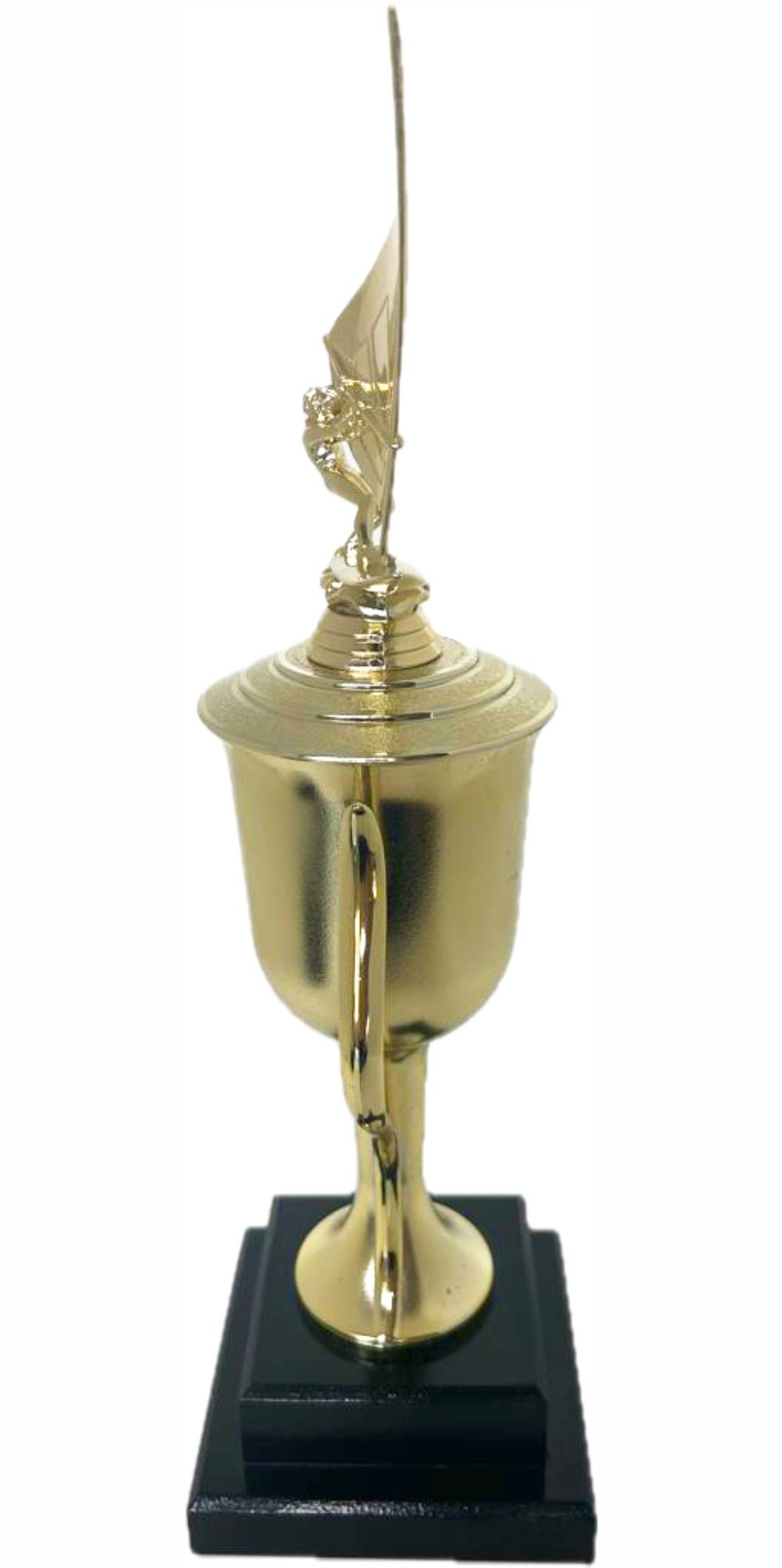 Wind Surfer Trophy 430mm