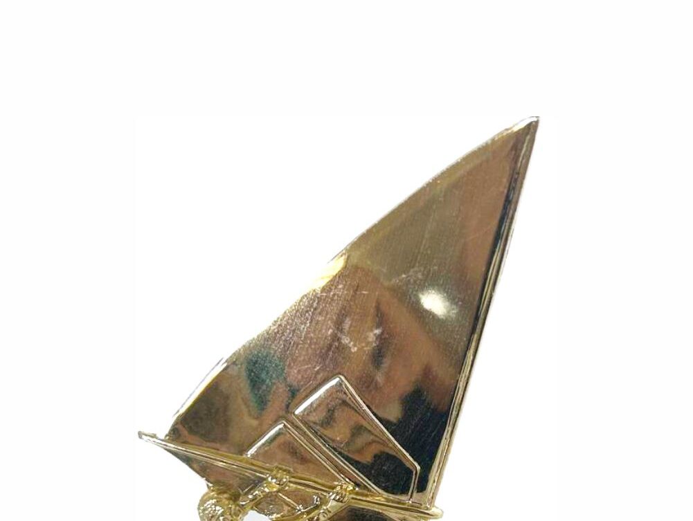 Wind Surfer Trophy 200mm