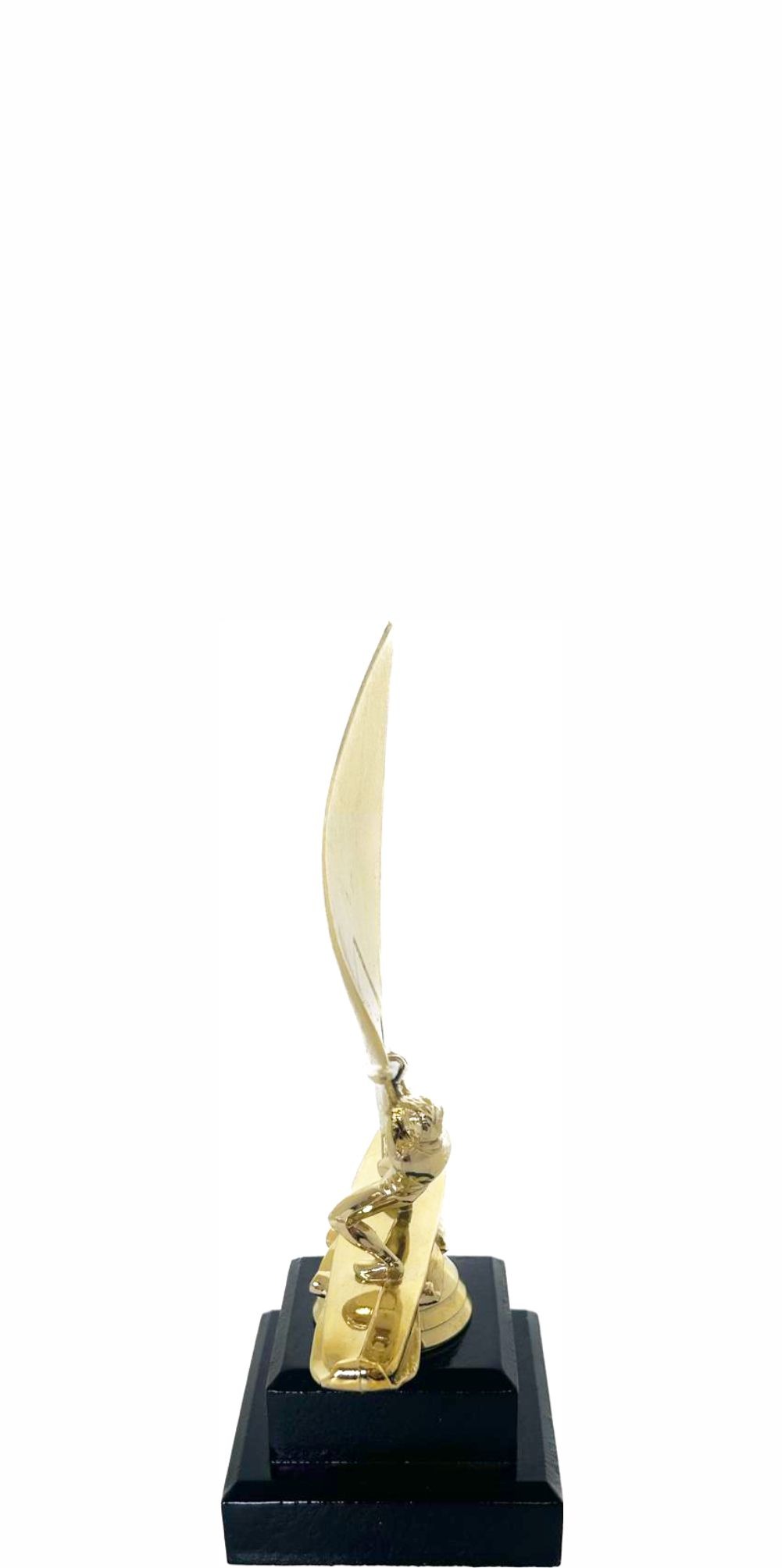 Wind Surfer Trophy 200mm