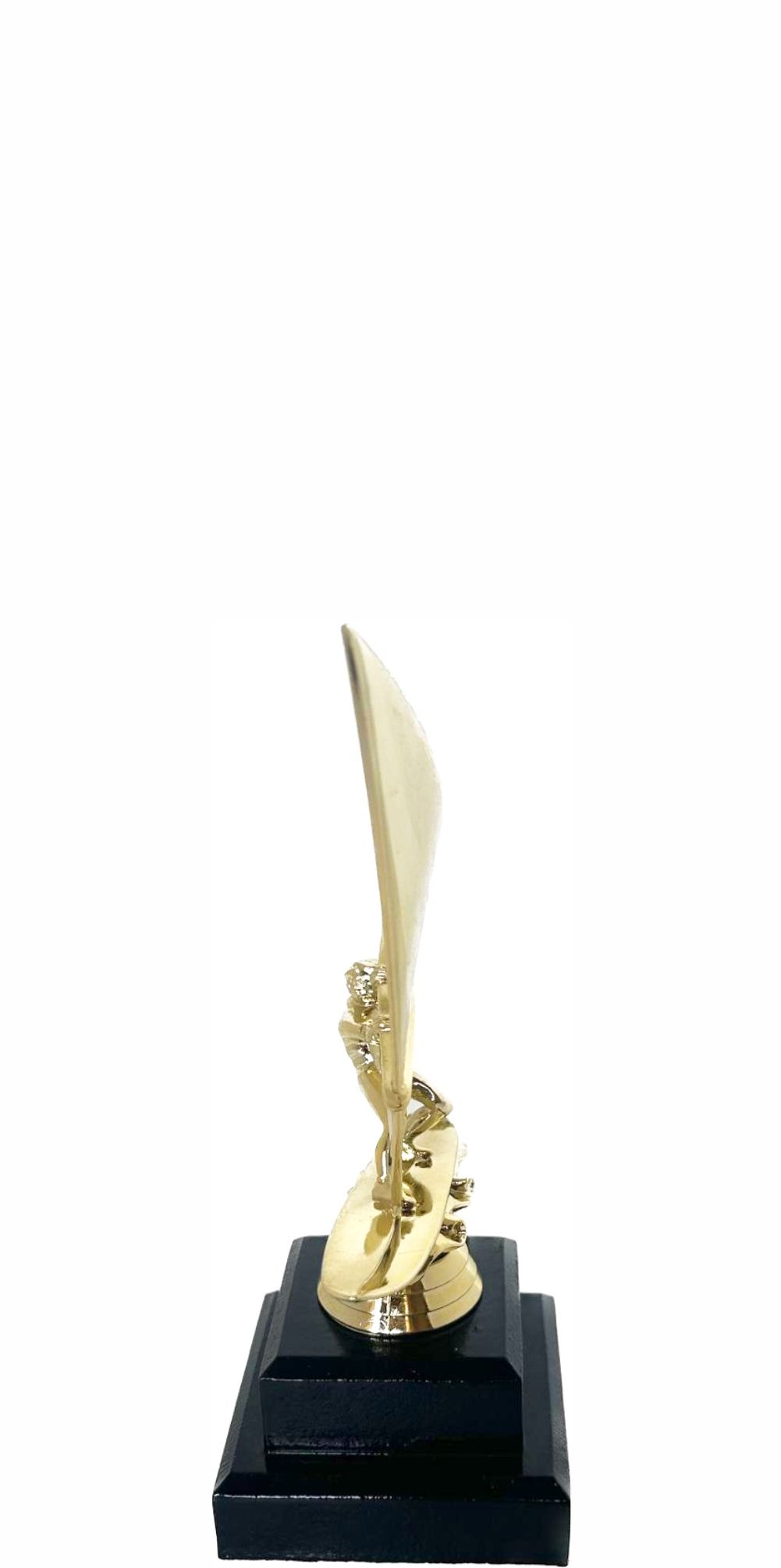 Wind Surfer Trophy 200mm