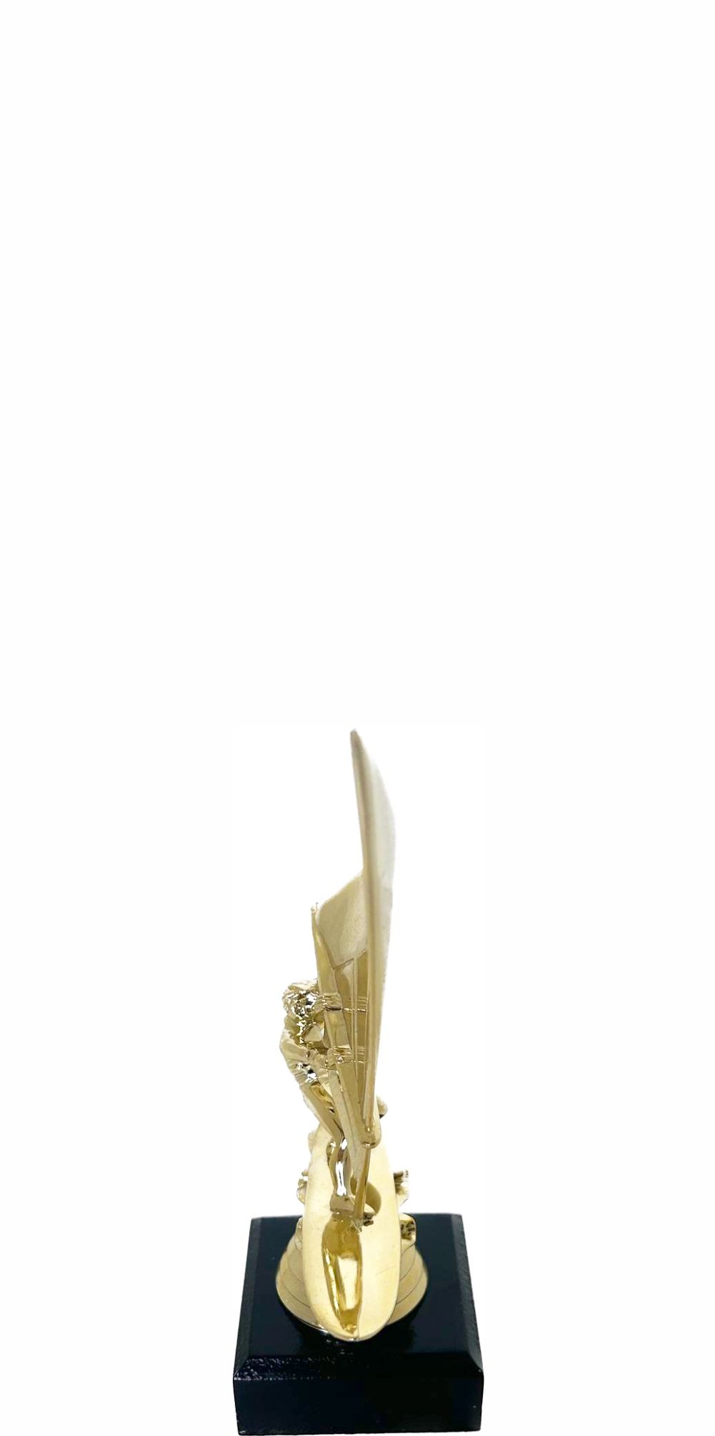 Wind Surfer Trophy 175mm