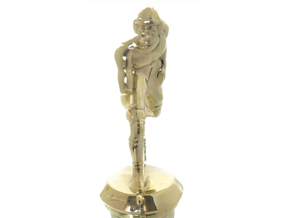 Wrestler All Star Male Trophy 265mm