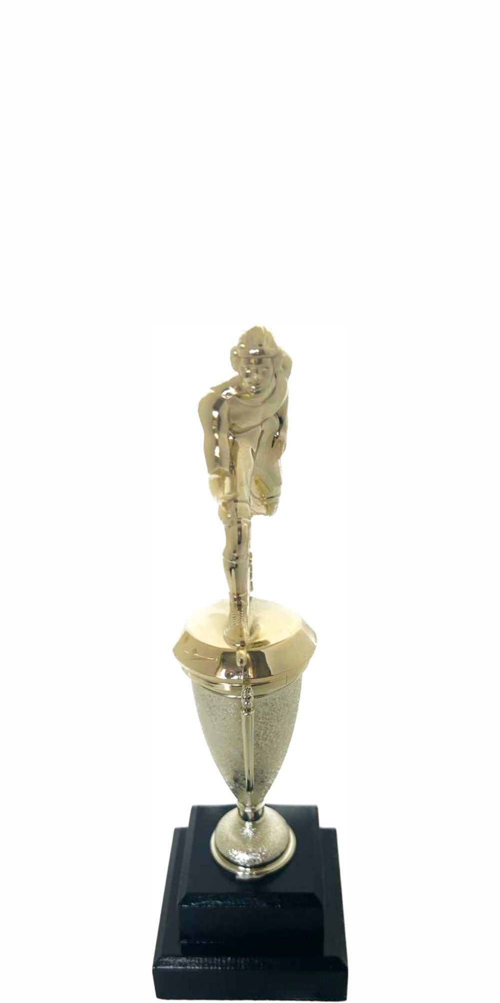 Wrestler All Star Male Trophy 265mm