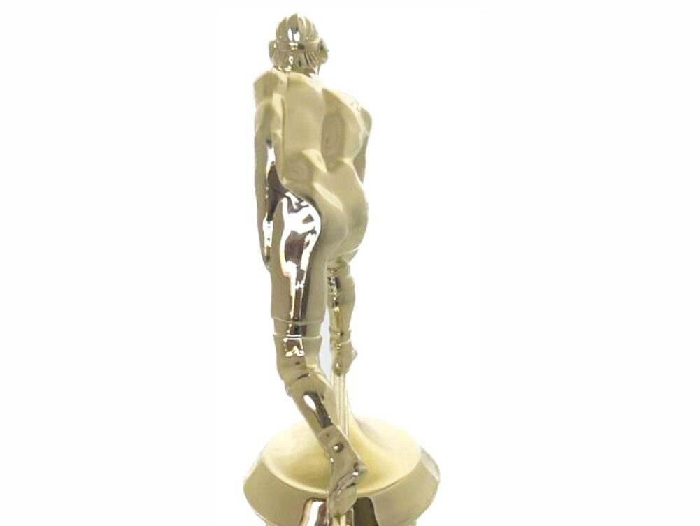 Wrestler All Star Male Trophy 265mm