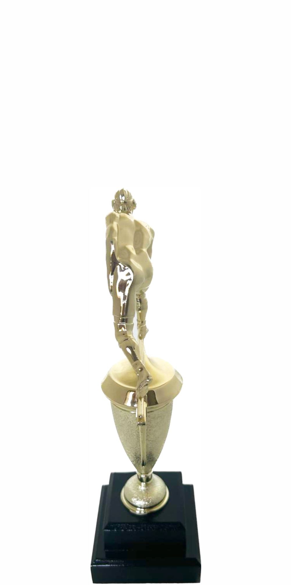 Wrestler All Star Male Trophy 265mm