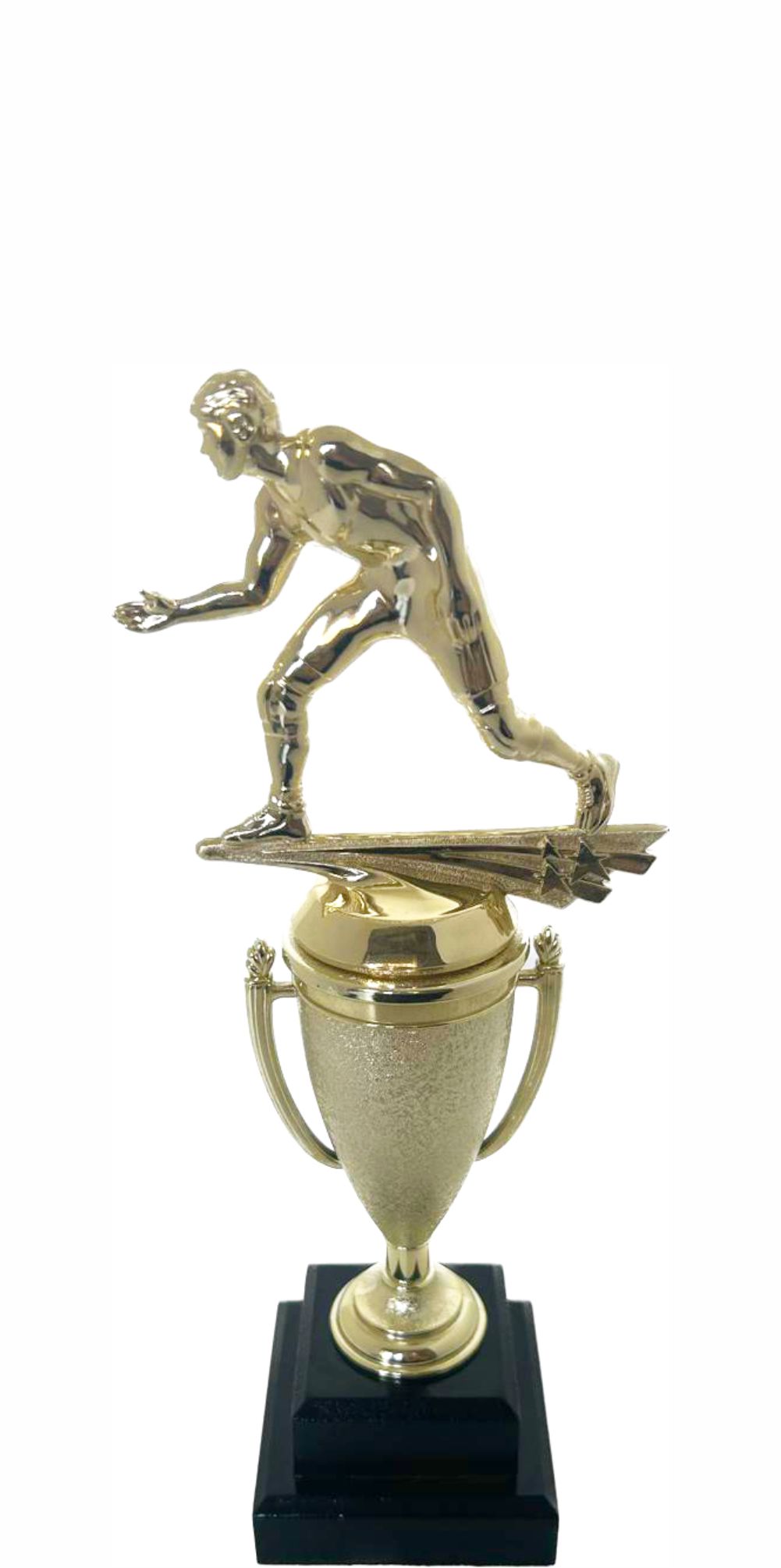 Wrestler All Star Male Trophy 290mm