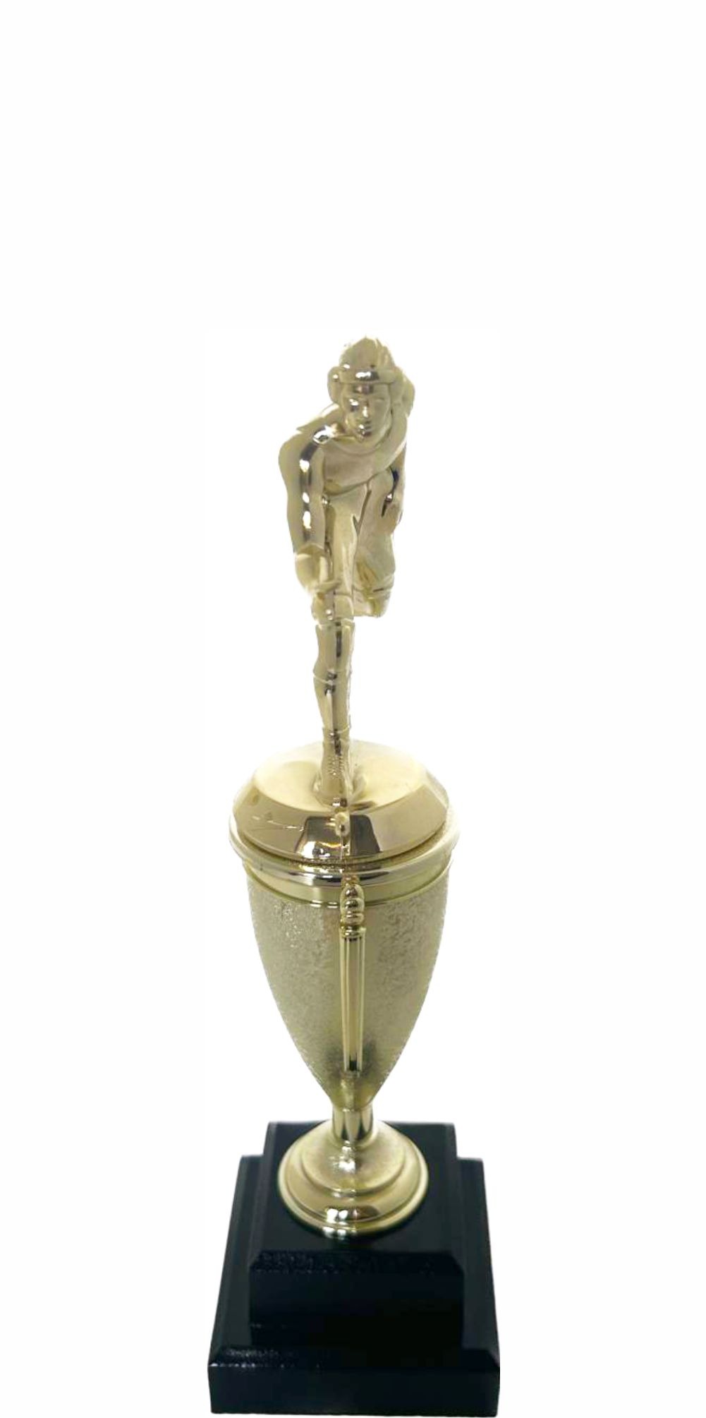 Wrestler All Star Male Trophy 290mm