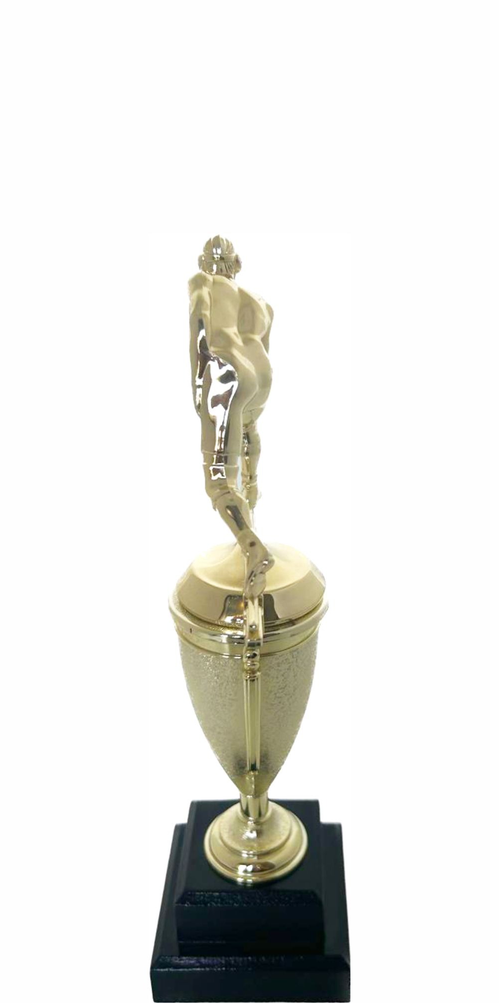 Wrestler All Star Male Trophy 290mm