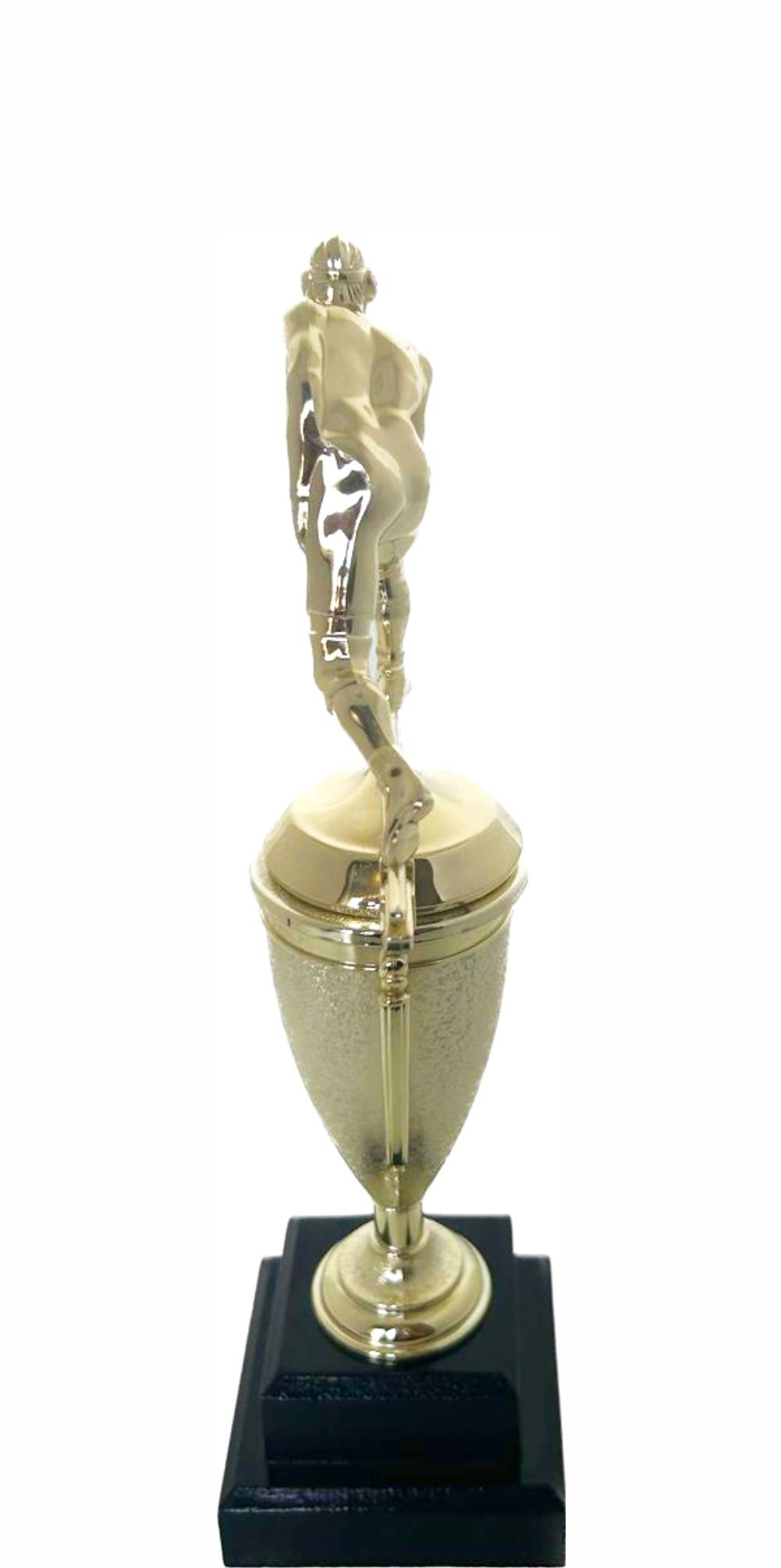 Wrestler All Star Male Trophy 330mm
