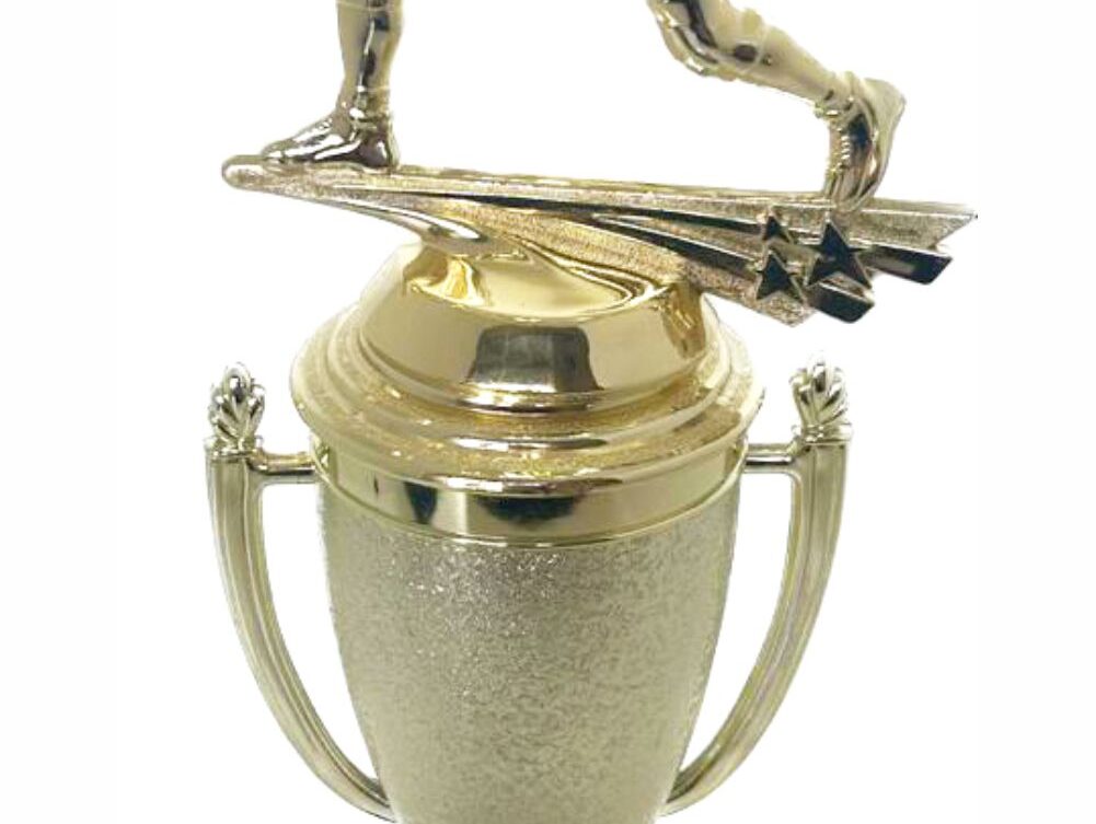Wrestler All Star Male Trophy 370mm
