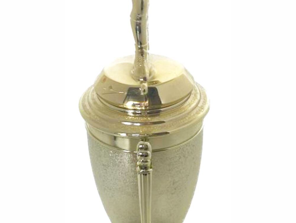 Wrestler All Star Male Trophy 370mm