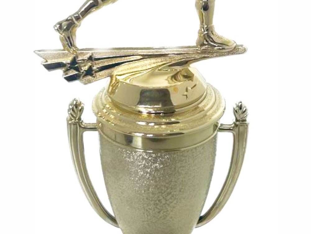 Wrestler All Star Male Trophy 370mm