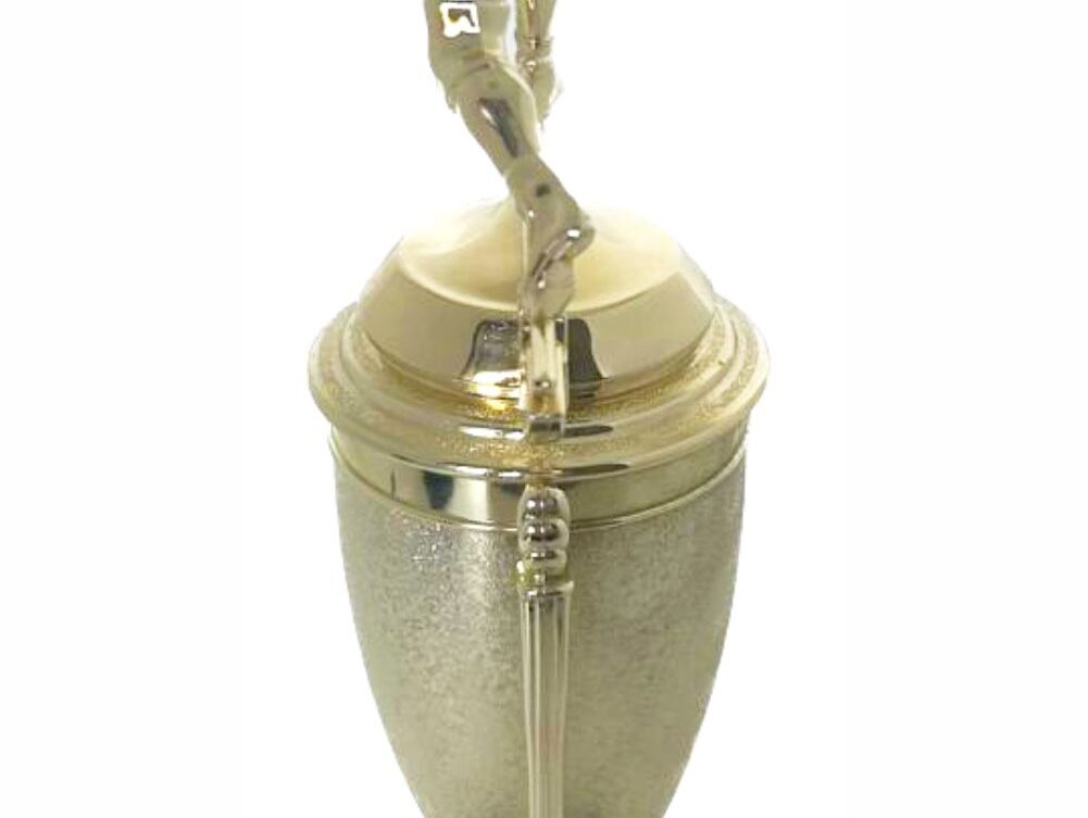 Wrestler All Star Male Trophy 370mm