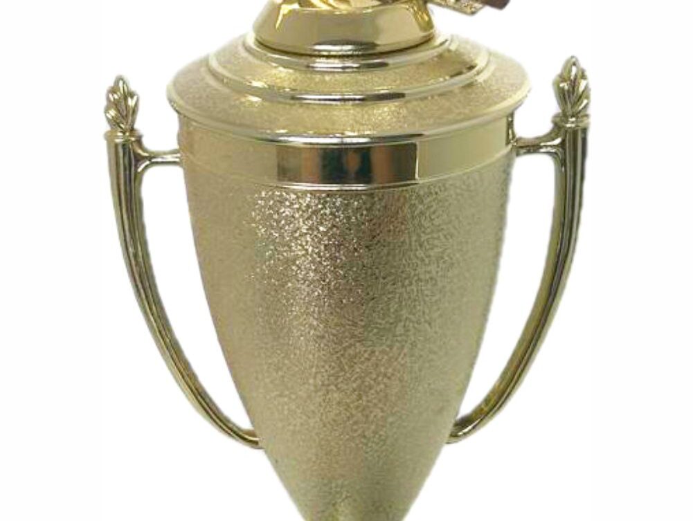 Wrestler All Star Male Trophy 410mm