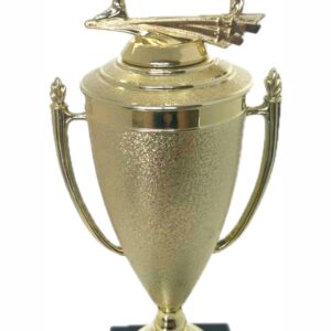 Wrestler All Star Male Trophy 410mm
