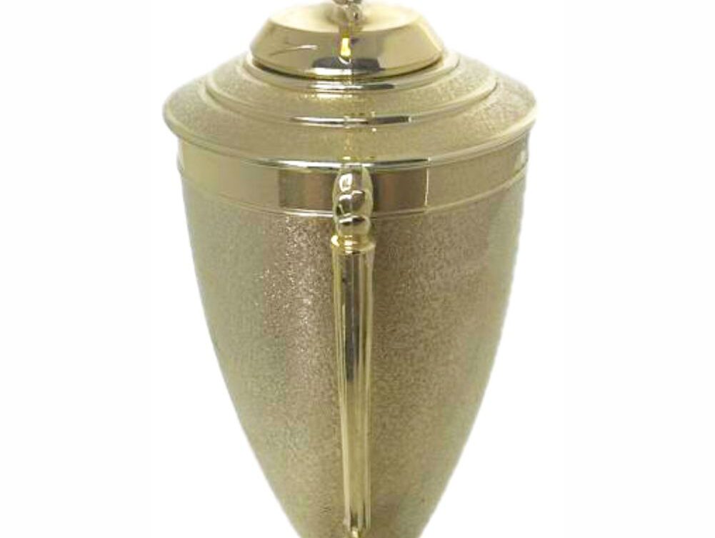 Wrestler All Star Male Trophy 410mm