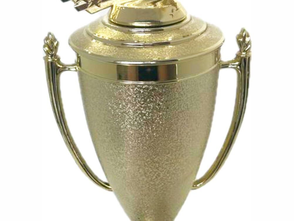 Wrestler All Star Male Trophy 410mm