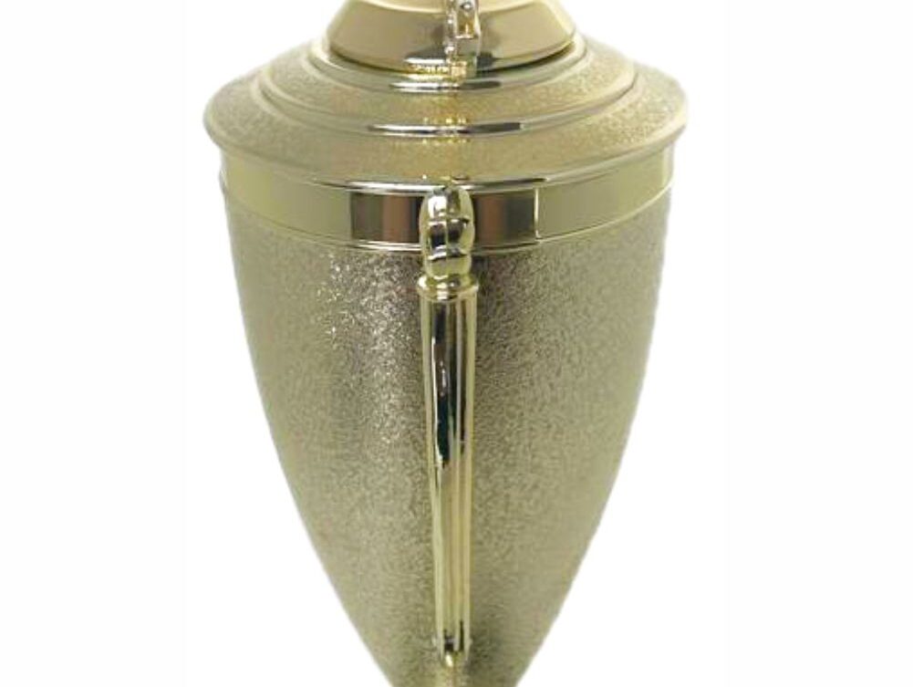 Wrestler All Star Male Trophy 410mm