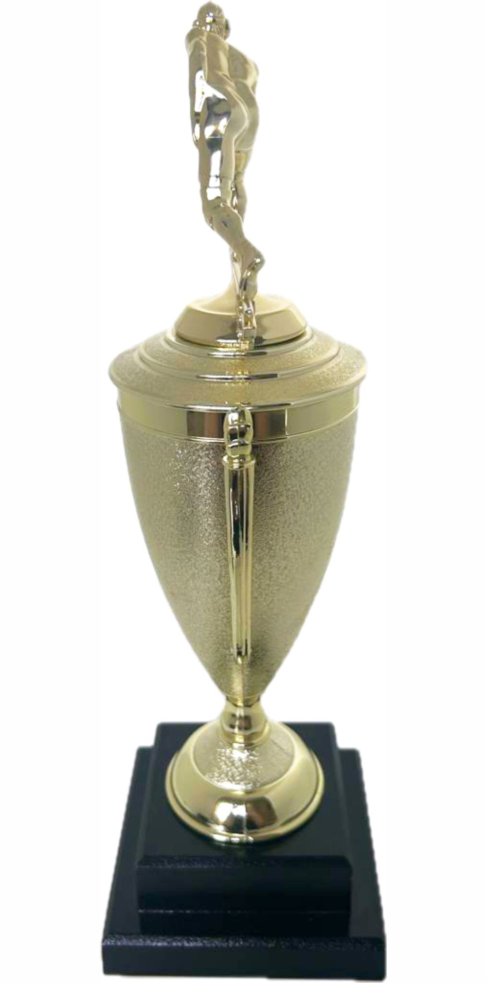 Wrestler All Star Male Trophy 410mm
