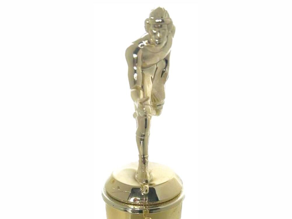 Wrestler All Star Male Trophy 265mm