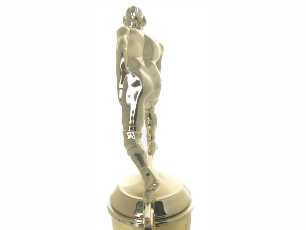 Wrestler All Star Male Trophy 265mm
