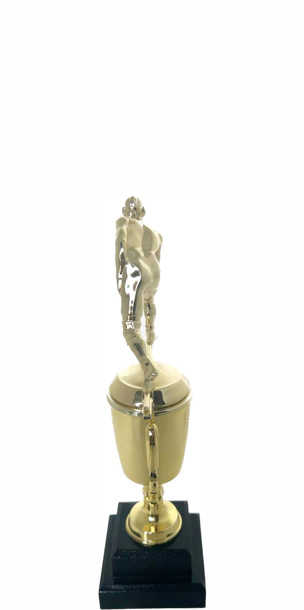 Wrestler All Star Male Trophy 265mm