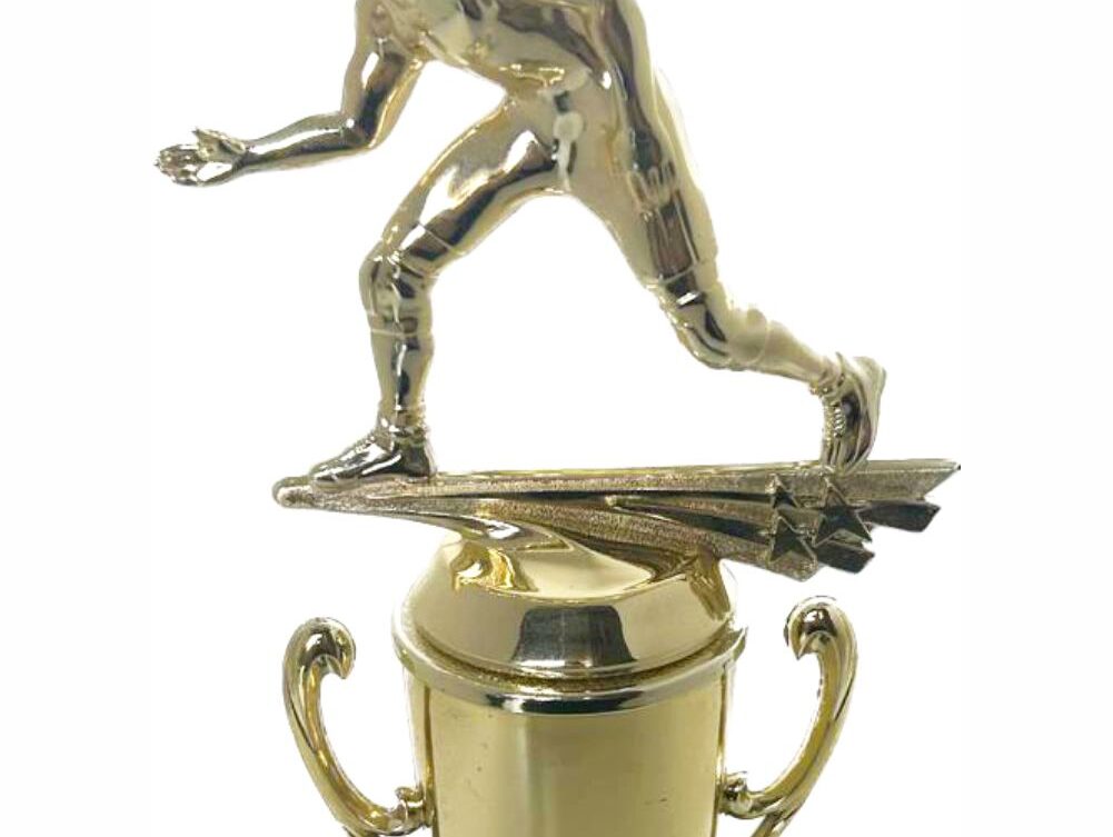 Wrestler All Star Male Trophy 290mm