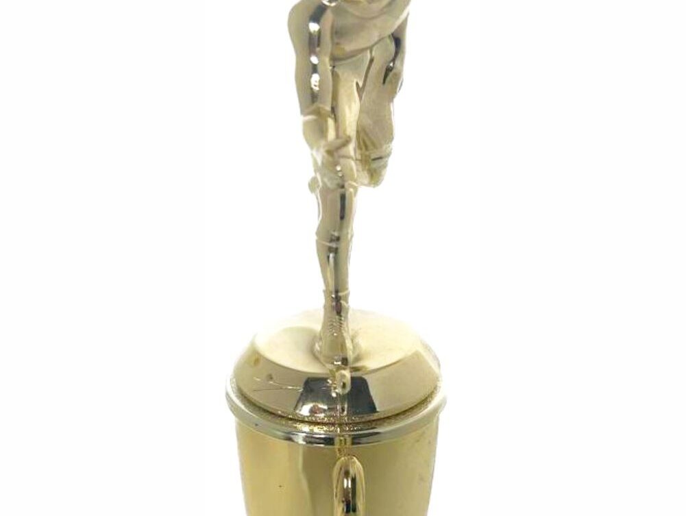Wrestler All Star Male Trophy 290mm